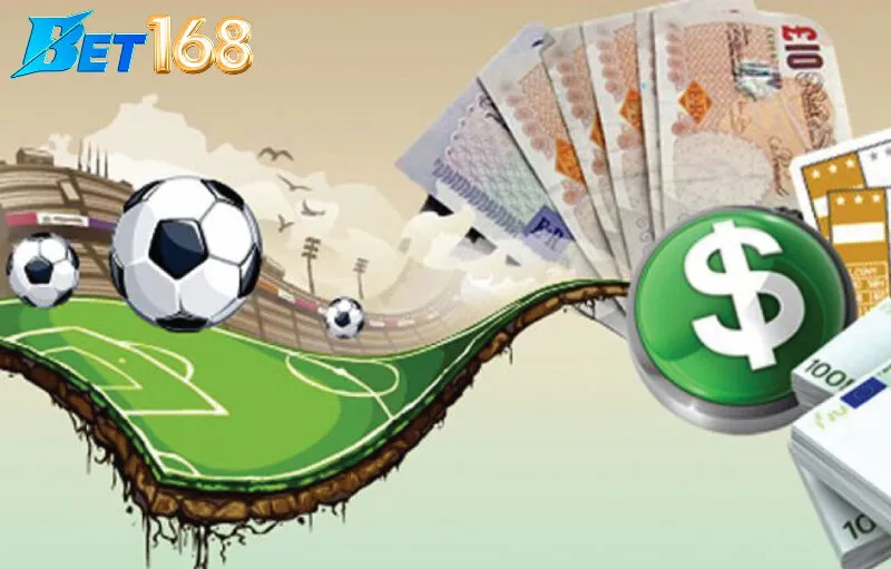 Những ai nên chọn kèo mã lai?