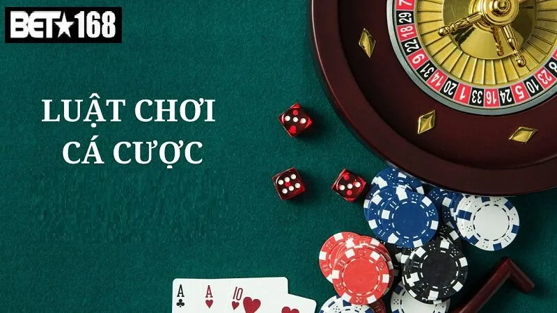 Không Hiểu Rõ Luật Chơi Và Quy Định Của Bet168